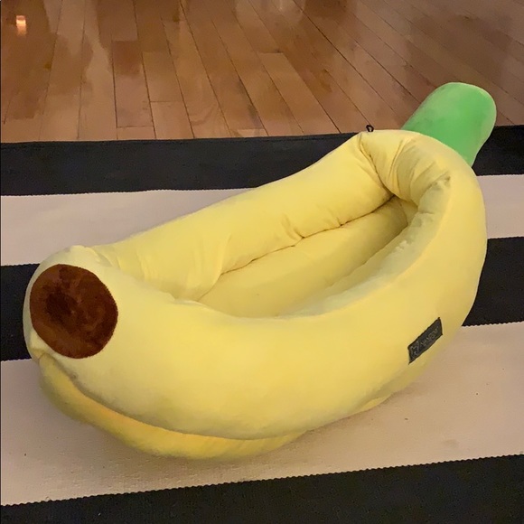 pet first aid kit amazon